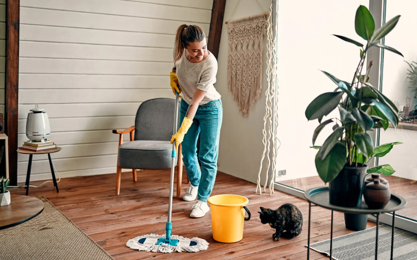 House Cleaning
